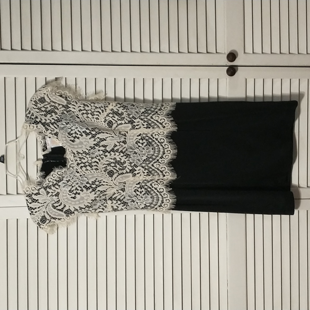 Eyelash Lace Vintage style Midi